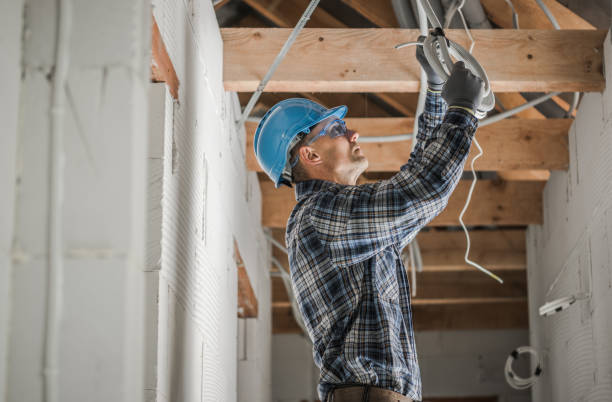 Best Electrical System Inspection  in Lexington, MI