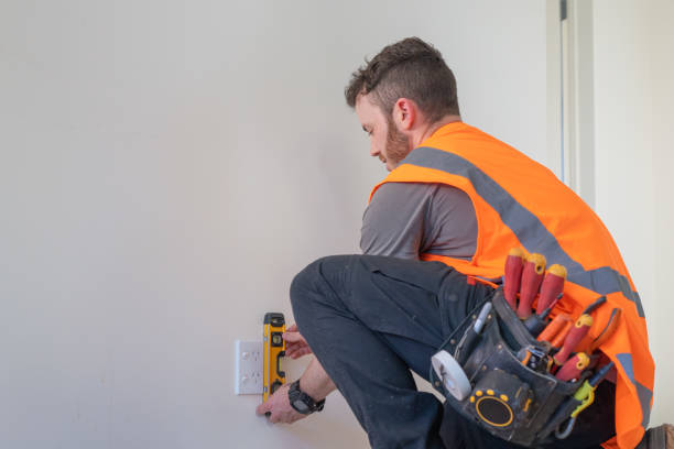 Best 24-Hour Electrician  in Lexington, MI